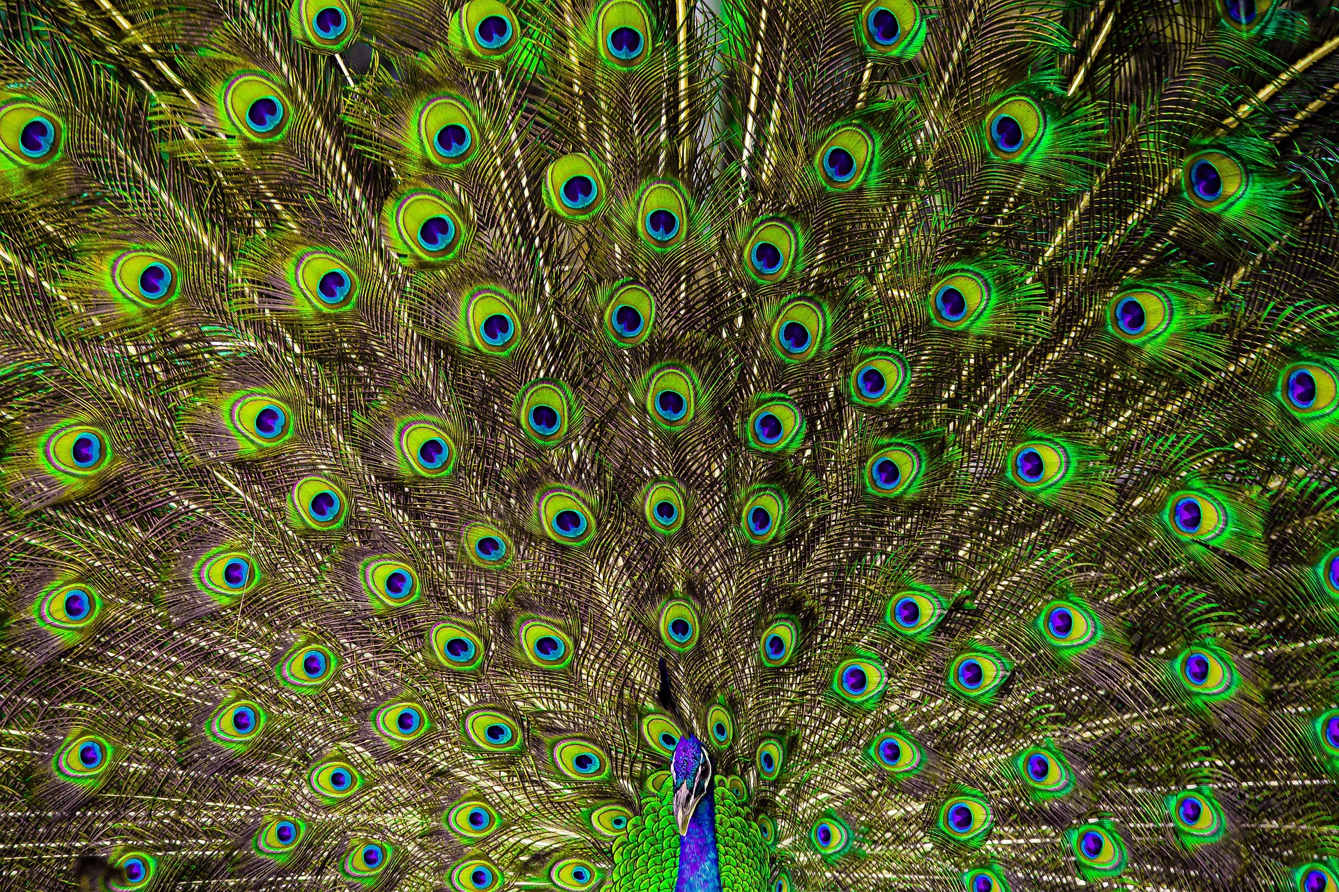 The Hidden Value of High-Cost Marketing: Building Trust Through Price